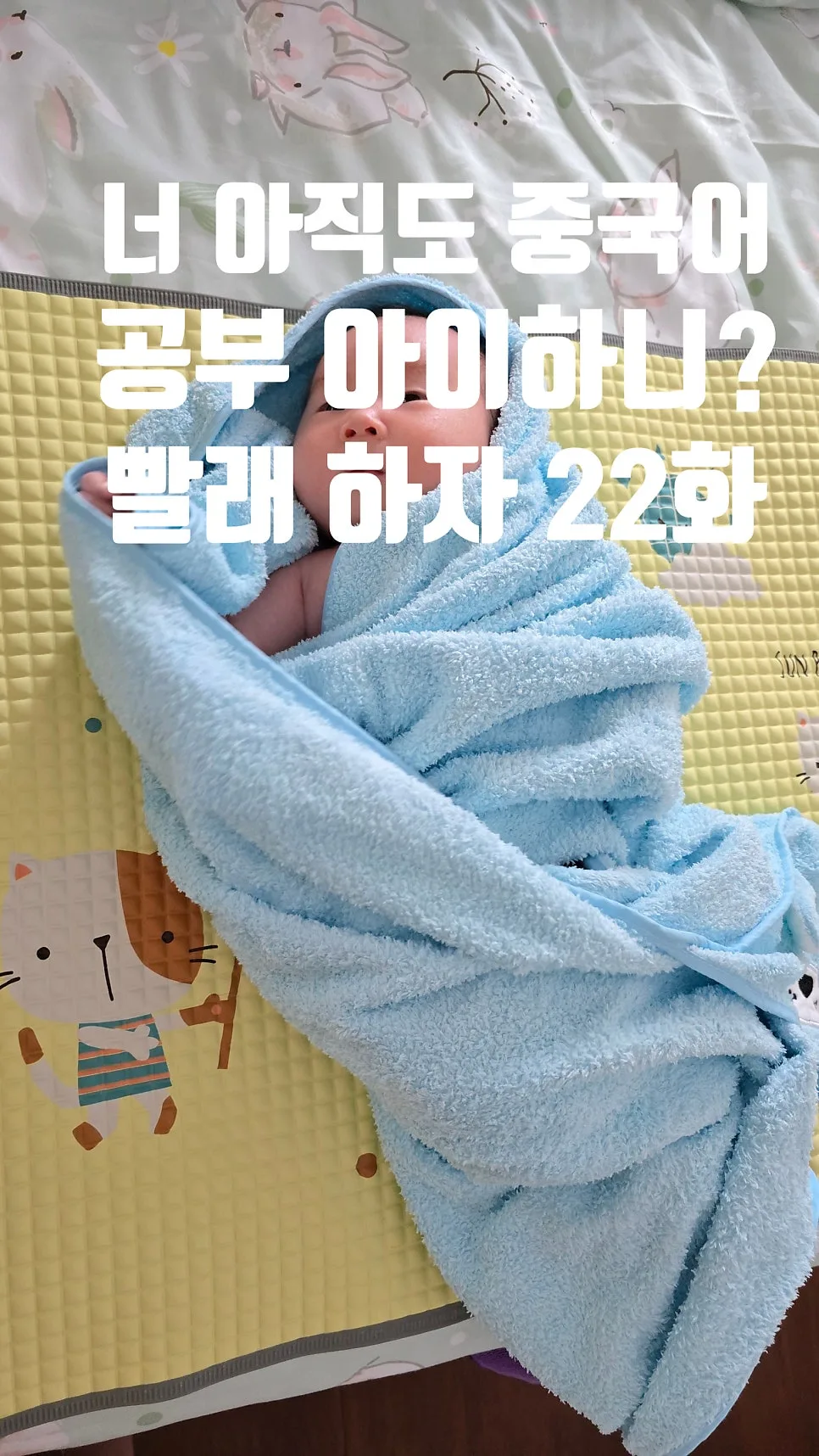 Learn Korean Daily: Master 5 Words in 2026