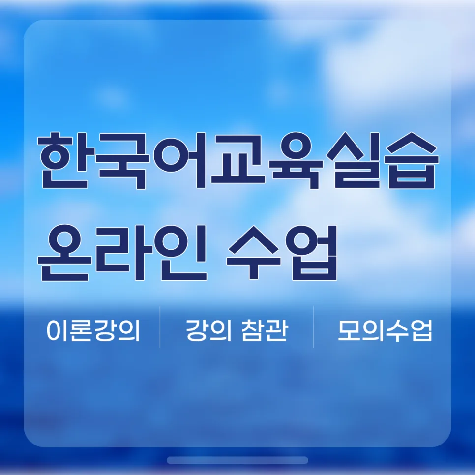 한국어교원 2급 실습 온라인 진행 완벽 가이드 2026