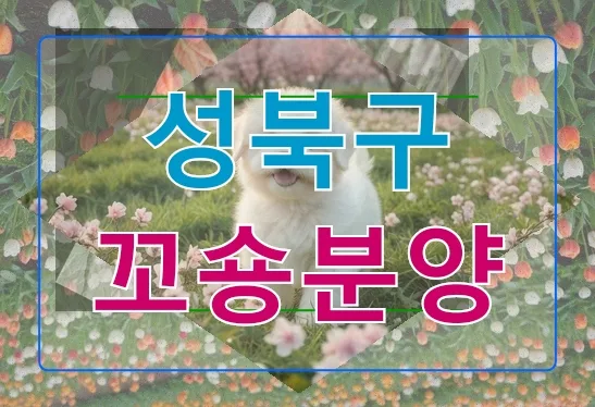 성북구 꼬숑분양 2026: 성공적인 선택을 위한 실전 가이드