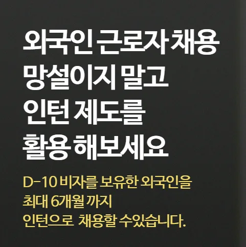 외국인 인턴 채용 A to Z: 비자, 직종, 장점 완벽 분석 2026