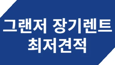 신형 그랜저 법인 리스 vs 장기렌트 2026년 총비용 비교