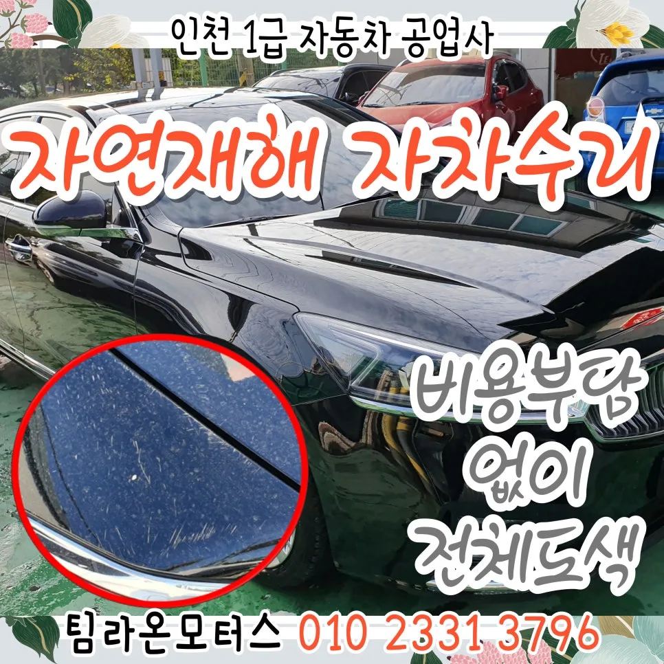 자동차 침수 피해 자차 보험 처리 완벽 가이드 2026