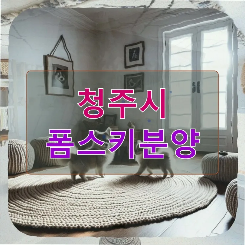 청주시 폼스키 분양 2026: 30대 직장인, 신중한 결정과 훈련 기록