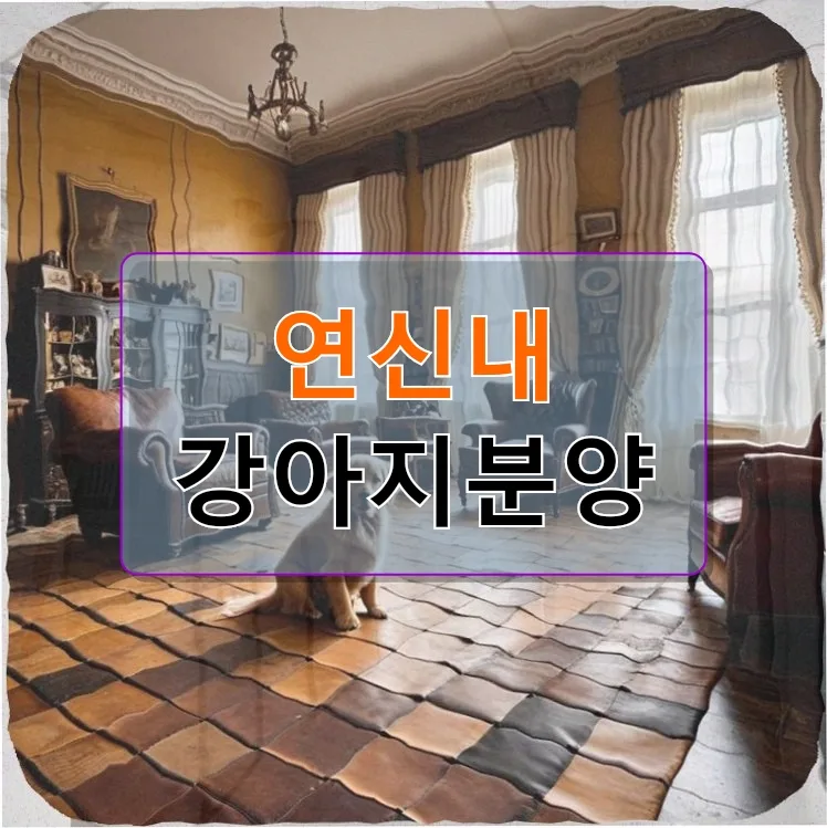 연신내 강아지분양 2026: 서른 살, 신중한 반려견 입양 준비 가이드