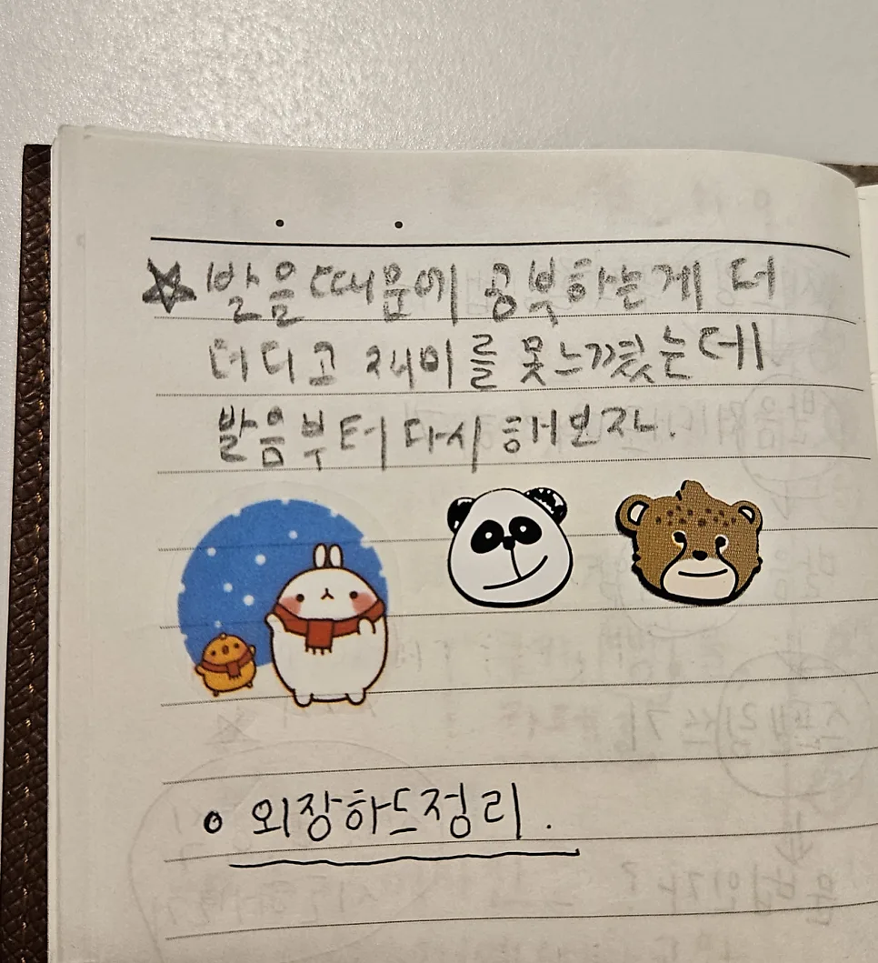 2026년 다이어리 추천: 아날로그 기록법과 효과적인 사용법