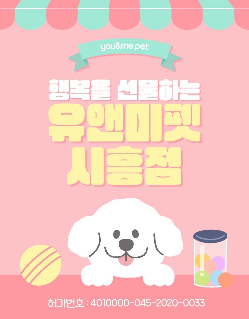 수원 말티즈 분양, 유앤미펫 경험담 2026: 건강한 반려견 찾는 법 — 반려동물 — dbdosalvpt