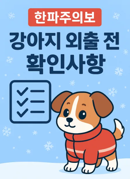 2026년 한파주의보 강아지 외출 체크리스트: 안전 산책 가이드