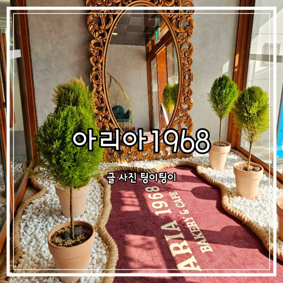 파주 벚꽃 명소 오산리기도원 카페 아리아1968: 2026년 방문 정보 총정리