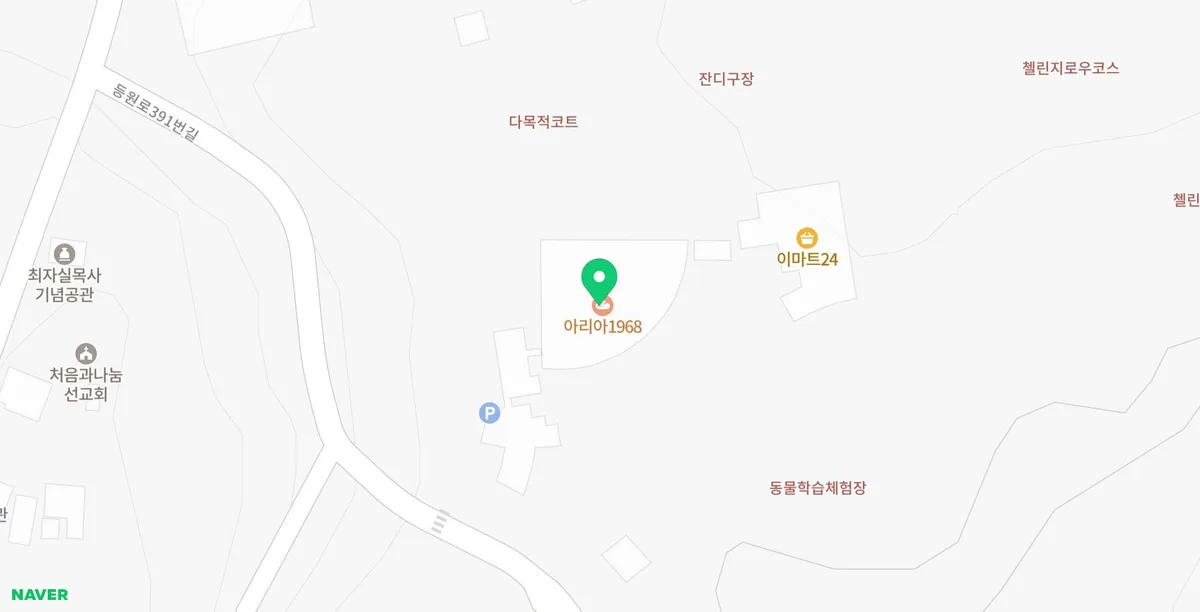 파주 벚꽃 명소 오산리기도원 카페 아리아1968: 2026년 방문 정보 총정리 2