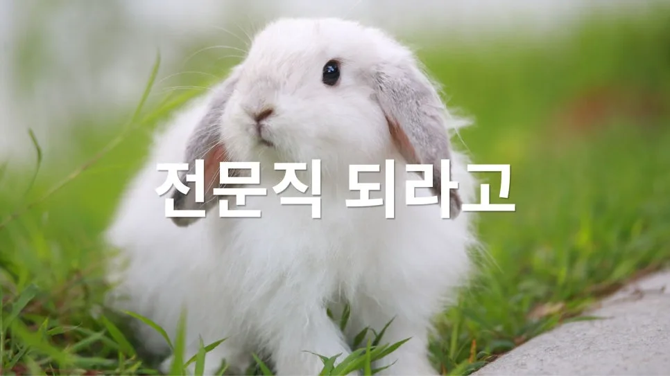 아이의 관심사를 직업으로 연결하는 현명한 방법 2026