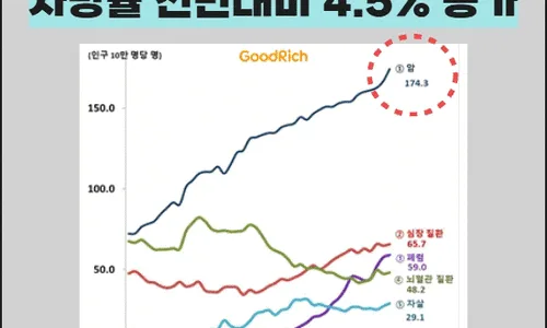 2026년 암보험, 즉시 보장 개시 상품 비교 및 가입 팁 2