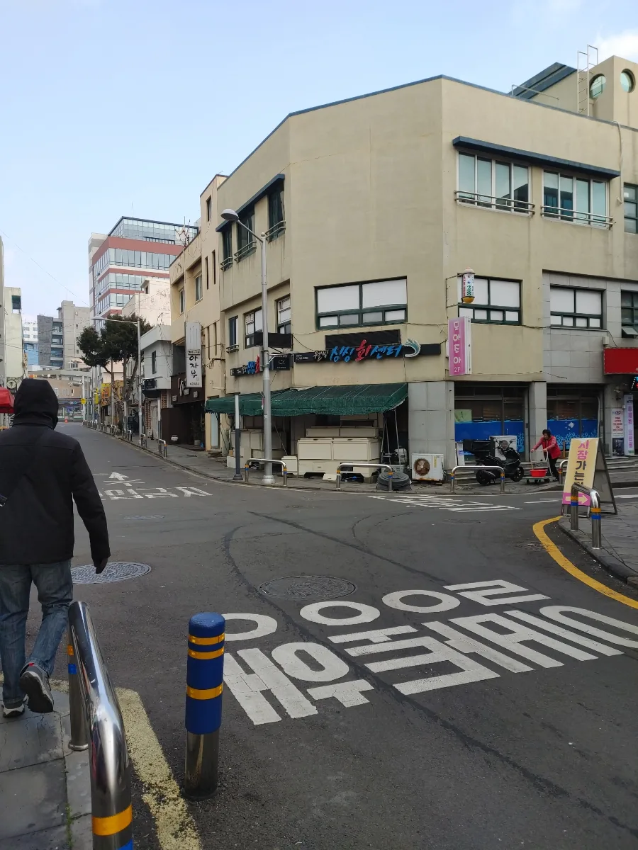 2026년 겨울 제주 서귀포 교회 방문 및 시청 탐방기