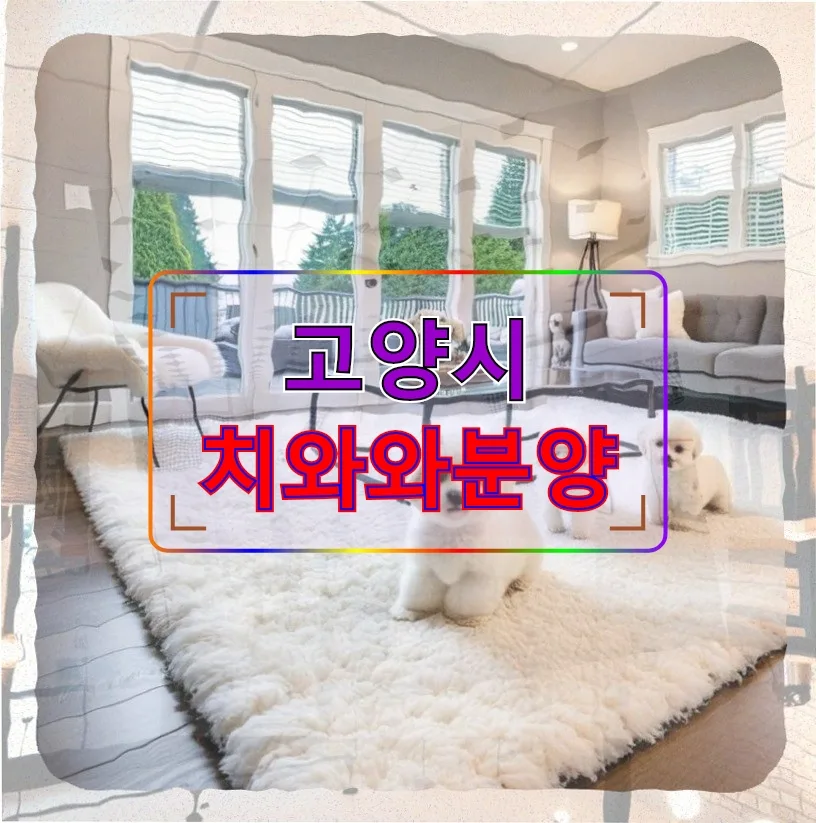 고양시 치와와 분양 후기: 반려견 건강관리 A to Z 2026
