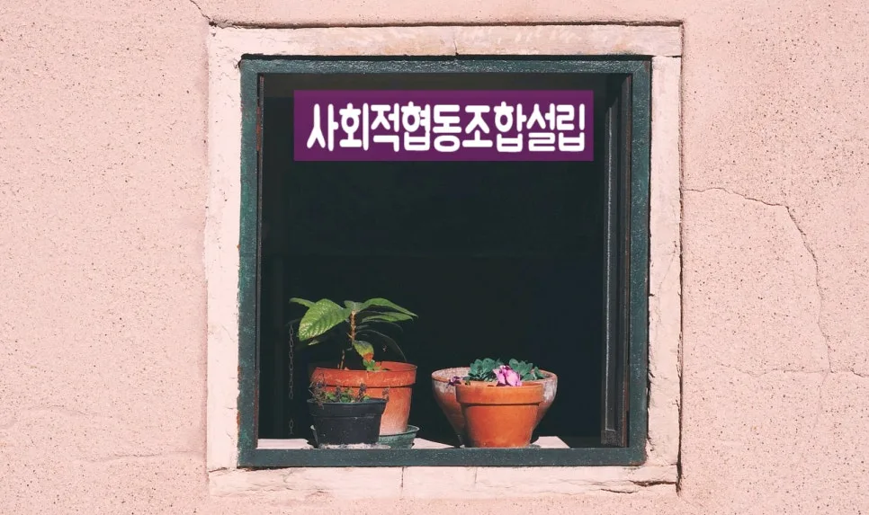 사회적협동조합 설립 절차 2026: 비영리 목표 달성 가이드