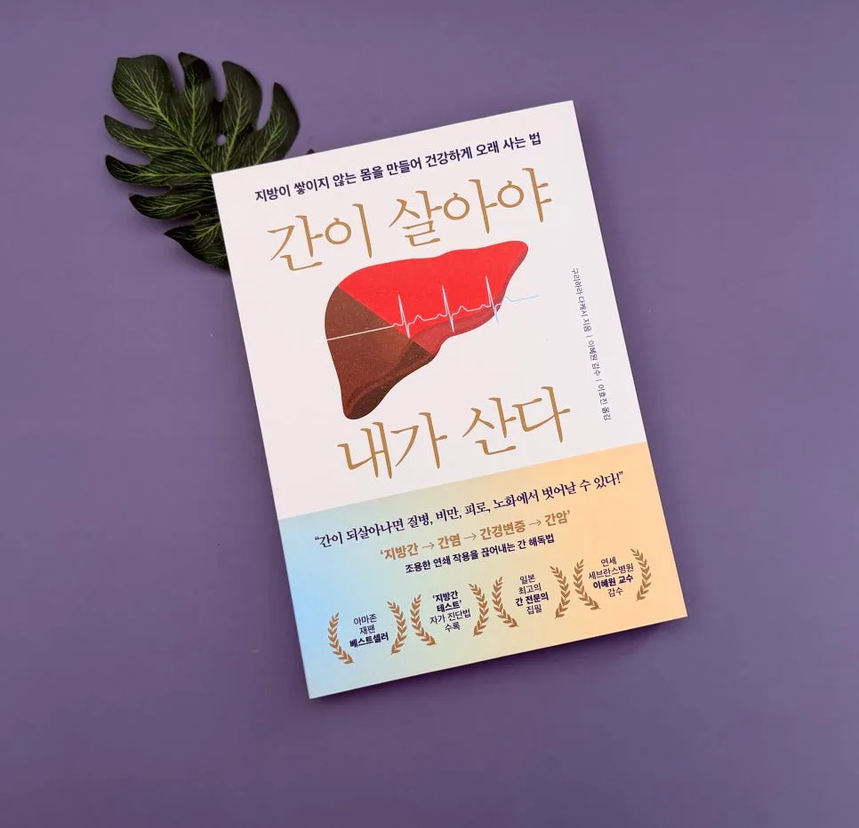 간 건강 2026: 저속노화로 사는 법과 지방간 관리법