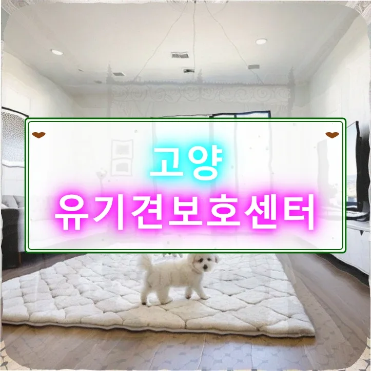유기견 임시보호 2026: 맹견 가능성 있는 아이 입양 후기