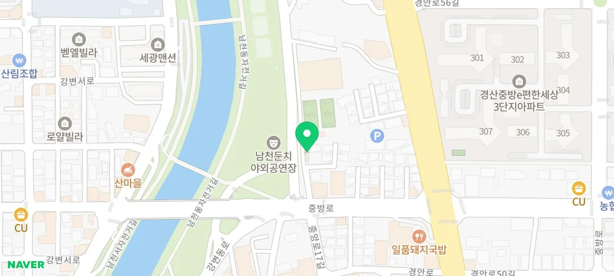 강아지 입양 후 적응, 첫 2주가 평생을 좌우하는 이유 2026 2