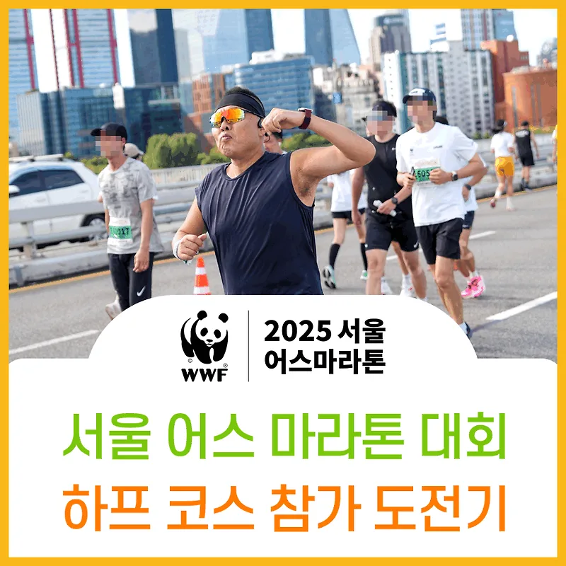 과체중 러너 하프 마라톤 도전 2026: 체중 증가 극복기