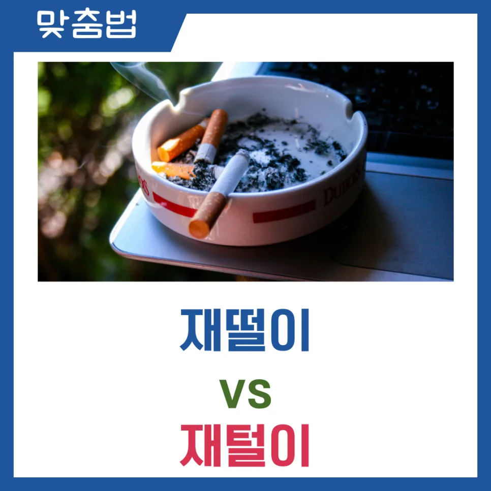 재떨이 vs 재털이, 2026년 최신 맞춤법 완벽 정리