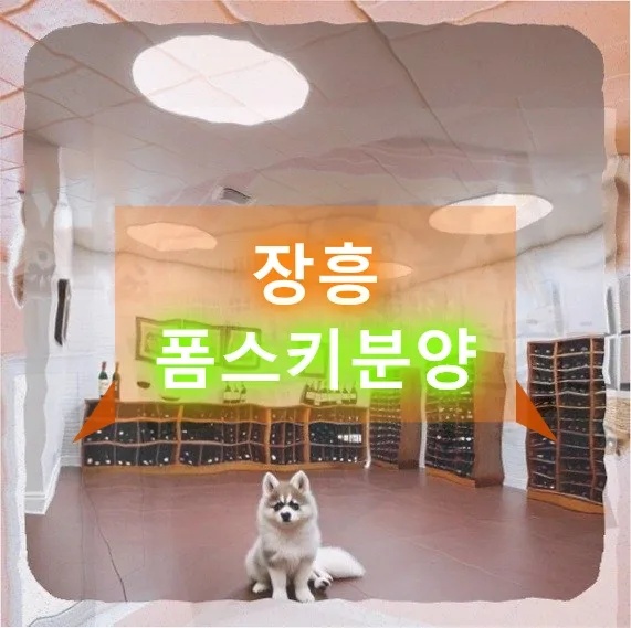 장흥 폼스키 분양, 40대 직장인 현실적 고민과 보류 결정 2026