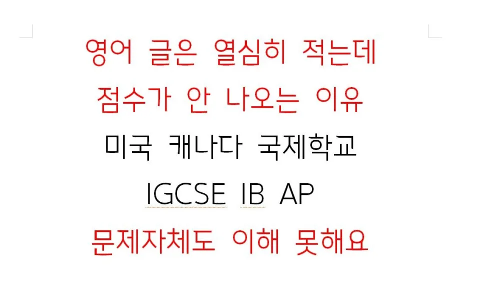 국제학교 영어 점수 부진 원인 2026: 문해력·사고력 부족 해결법