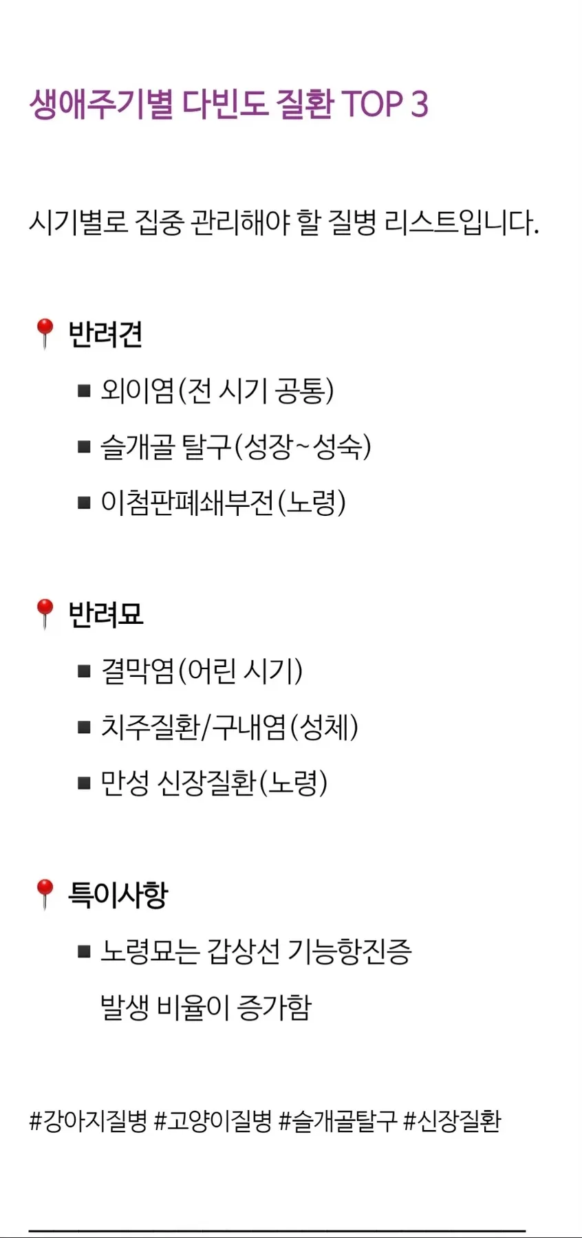 반려동물 생애주기 4단계와 질병 관리 2026년 총정리 2
