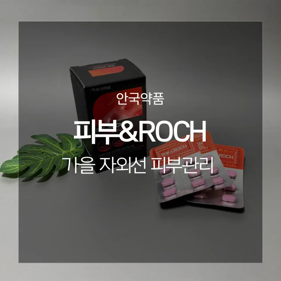 안국약품 피부&ROCH: 가을철 피부 손상 케어 솔루션 2026
