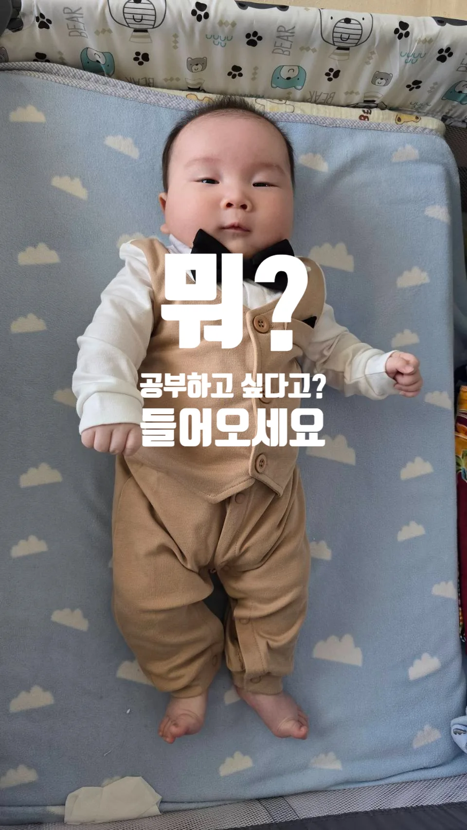 인도네시아 동물원 회화 2026: 현지인과 소통하는 필수 표현 총정리