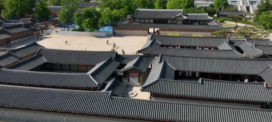 중종 시대 개혁 실패 원인: 조광조 숙청과 왕의 리더십 분석 2026