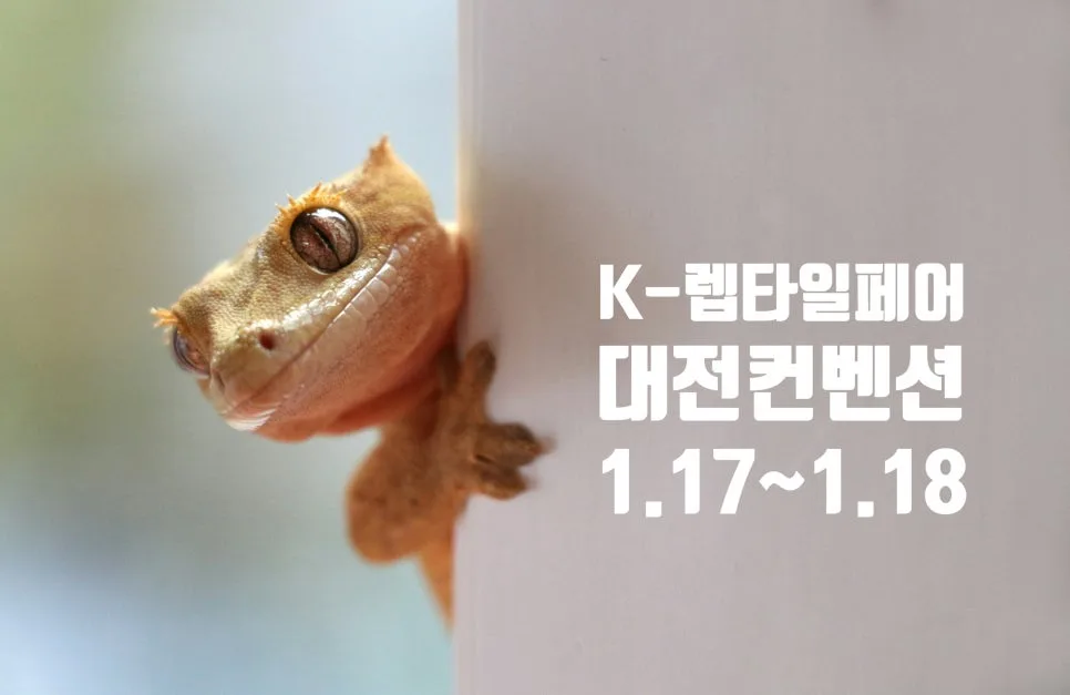 2026 대전 렙타일페어: 입장료, 주차, 이벤트 완벽 분석