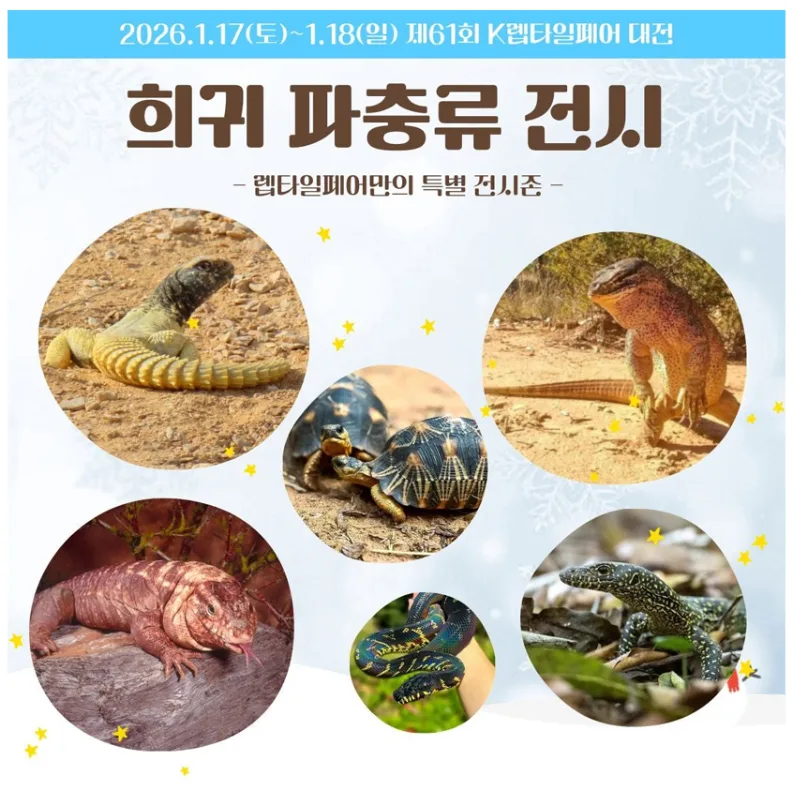 2026 대전 렙타일페어: 입장료, 주차, 이벤트 완벽 분석 2
