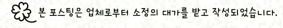 2026년 고양이 구충제 복용 주기와 동물병원 준비 꿀팁