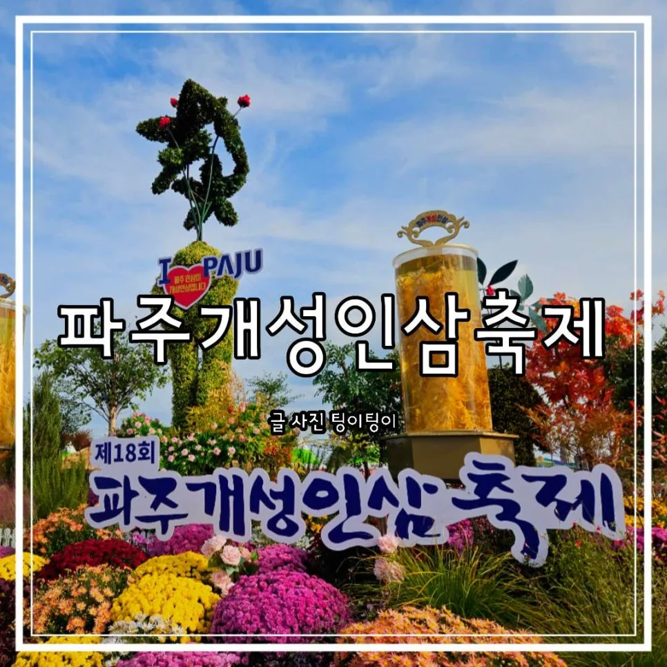 파주개성인삼축제 2026: 임진각 방문 후기 및 주차 꿀팁