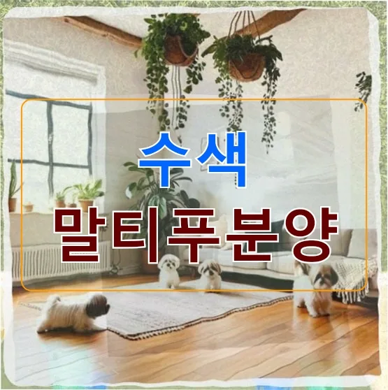수색 말티푸 분양 후기: 200만원 지출 후회와 행복 사이 2026