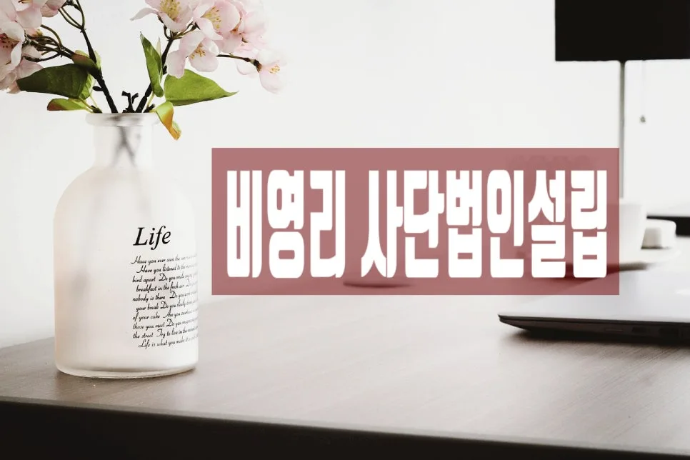 비영리사단법인 설립 조건과 절차 완벽 분석 (2026)