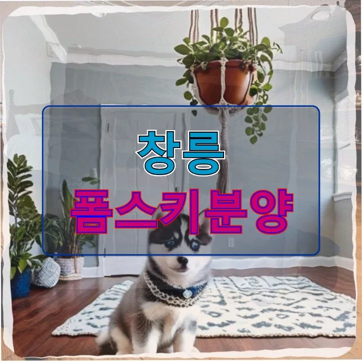 창릉 폼스키 분양 사기 주의! 이사 앞둔 집사의 현실 고민 2026