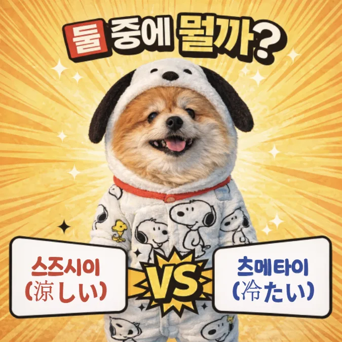 스즈시이 vs 츠메타이: 일본어 '시원함' 구분법 2026