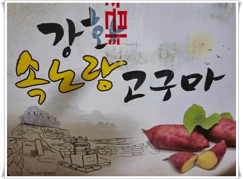 강화 속노랑고구마, 당도 15브릭스 이상? 2026년 제철 맛보기