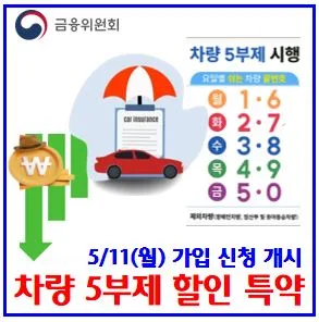 차량 5부제 할인 특약 2026: 2% 할인 받는 법 총정리