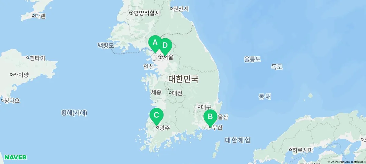 일산 고양이 분양, 특별한 경험을 선사하는 곳 2026