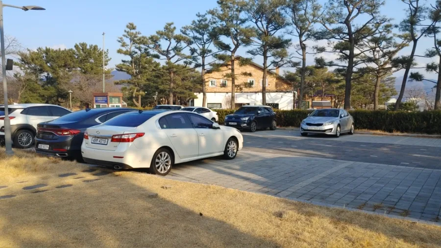 경주 세계 자동차 박물관 아이와 가볼 만한 곳 2026년 후기