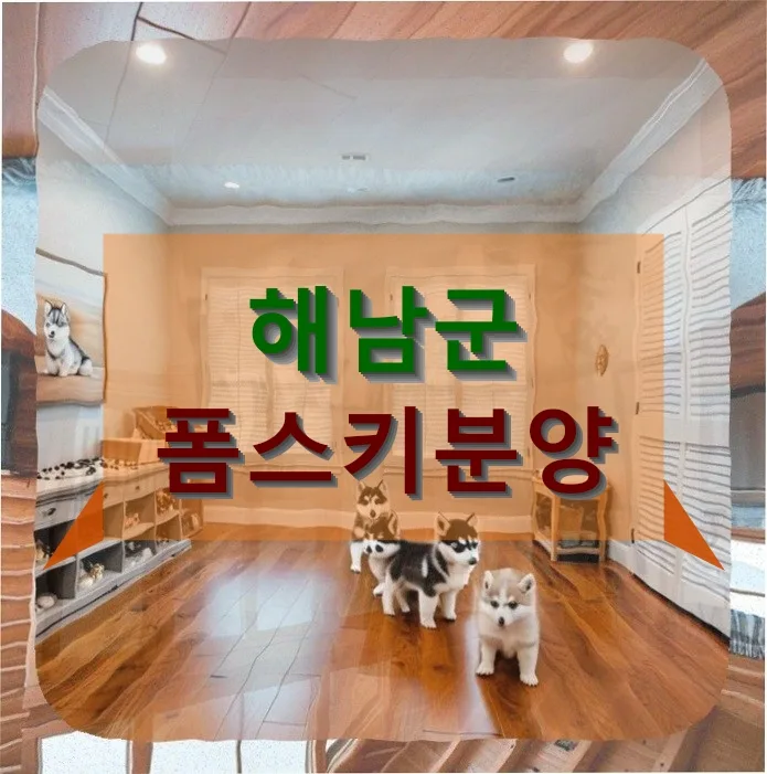 해남군 폼스키 분양, 접종 완료 시점과 추가 비용 2026년 총정리