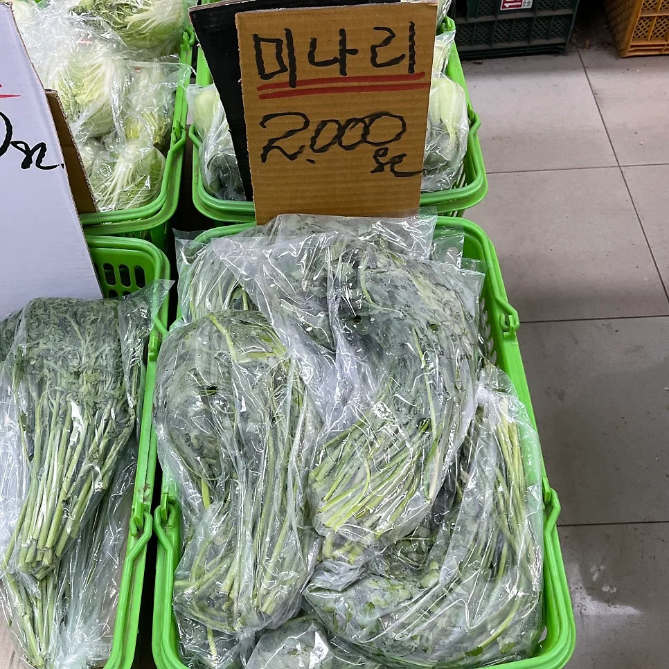 미나리 부침개 황금 레시피 2026: 제철 봄나물 활용법