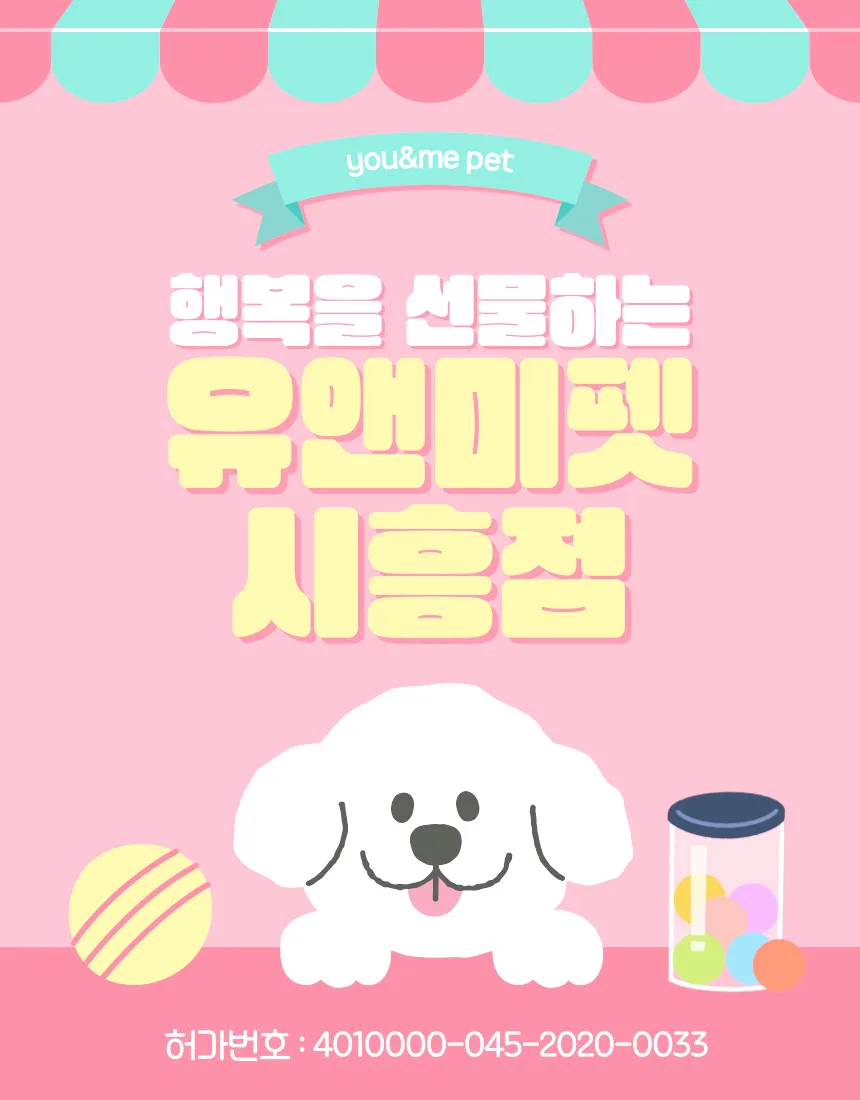 과천 토이푸들 분양 2026: 유앤미펫 건강한 아이 만난 후기