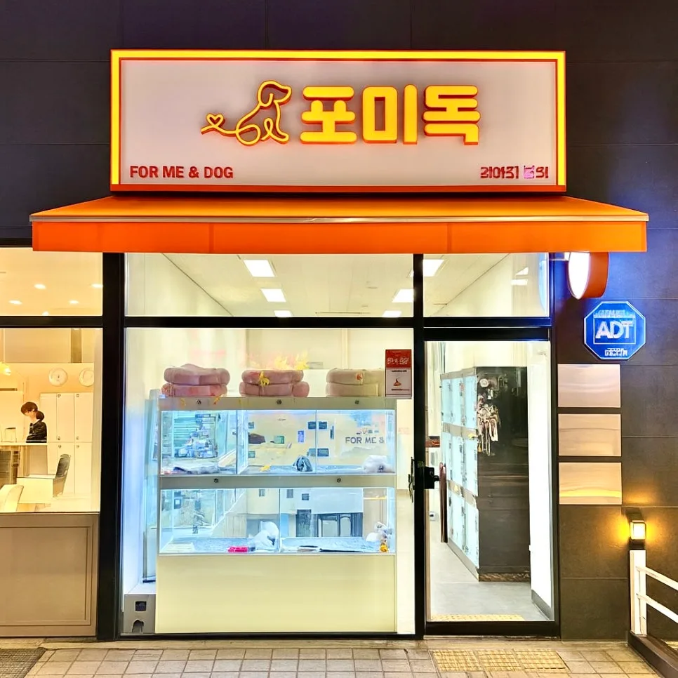 일산 강아지 분양, 포미독에서 가족 만난 후기 2026