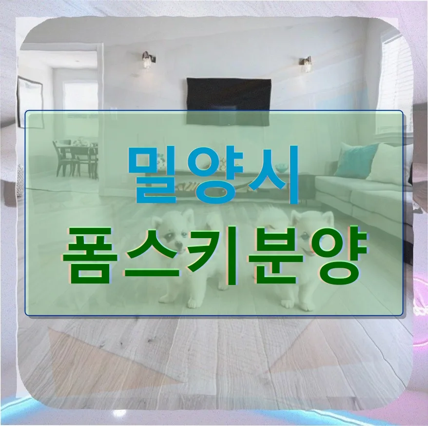 폼스키 분양 전 필수템: GPS 추적기 솔직 후기 2026
