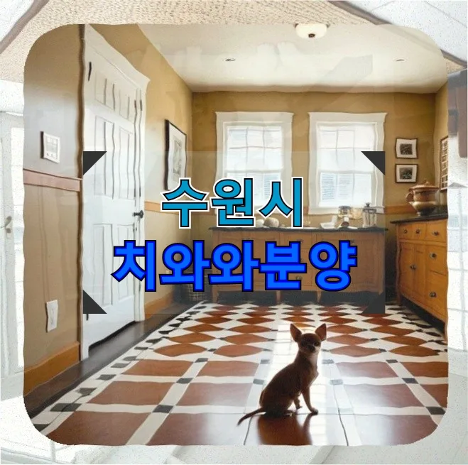 치와와 입양 전 필수 확인 사항 3가지 (2026년 최신)