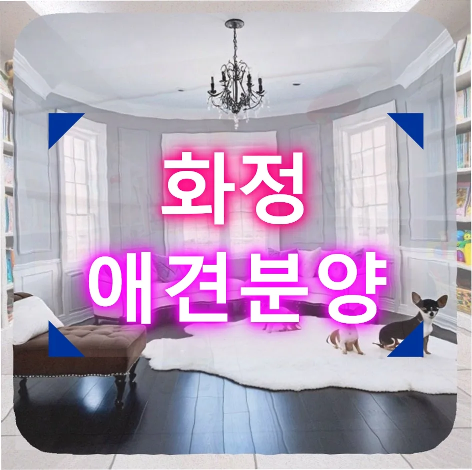 화정 말티즈 분양, 2026년 준비부터 입양까지 솔직 후기
