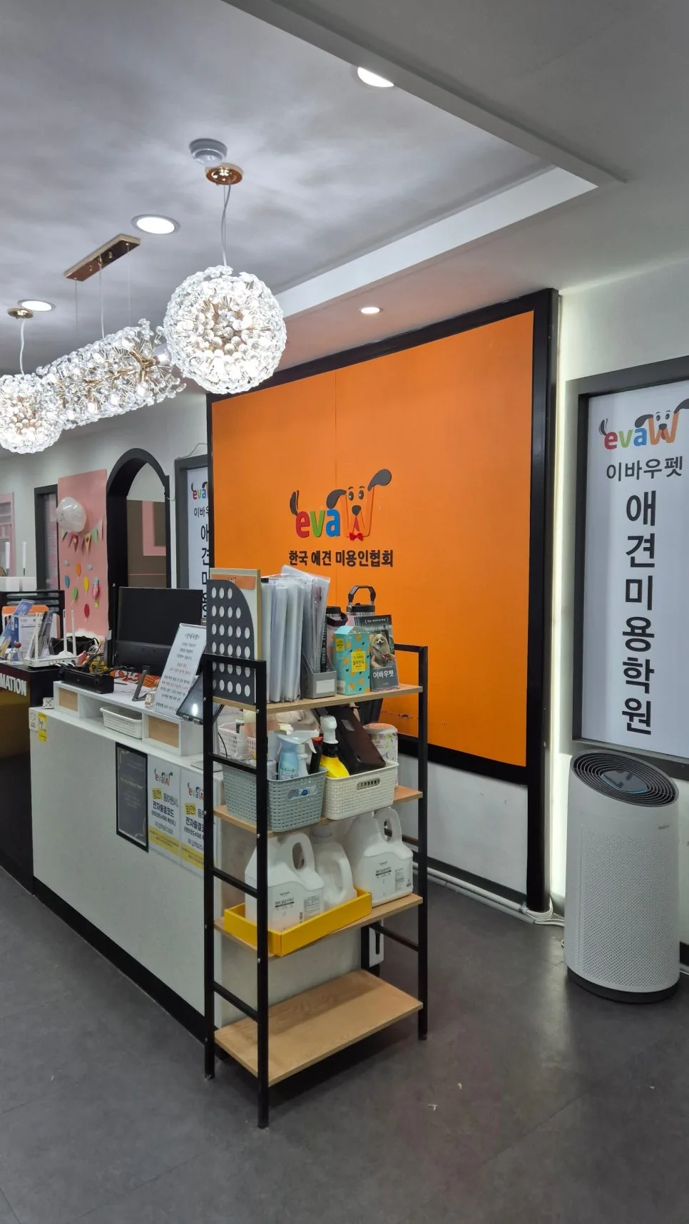 부천 애견미용 학원 선택 가이드 2026: 자격증 단기 취득 비법