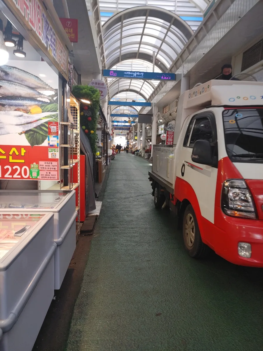 돈내코 원앙폭포 2026: 제주 힐링 산책 코스 및 입장료 총정리